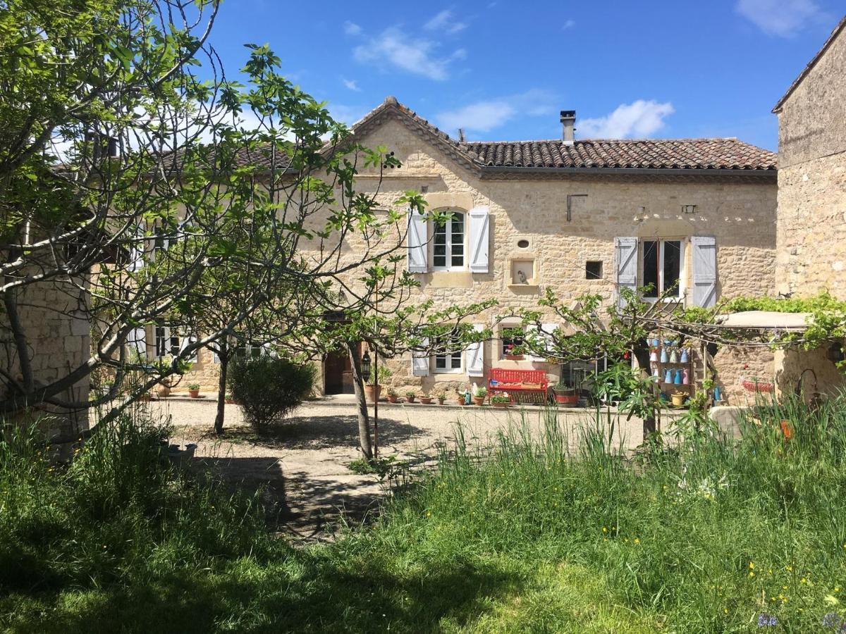 Puechblanc Gites Et Chambre D'Hote Dans Le Triangle D'Or Gaillac-Albi-Cordes Sur Ciel Fayssac Kültér fotó